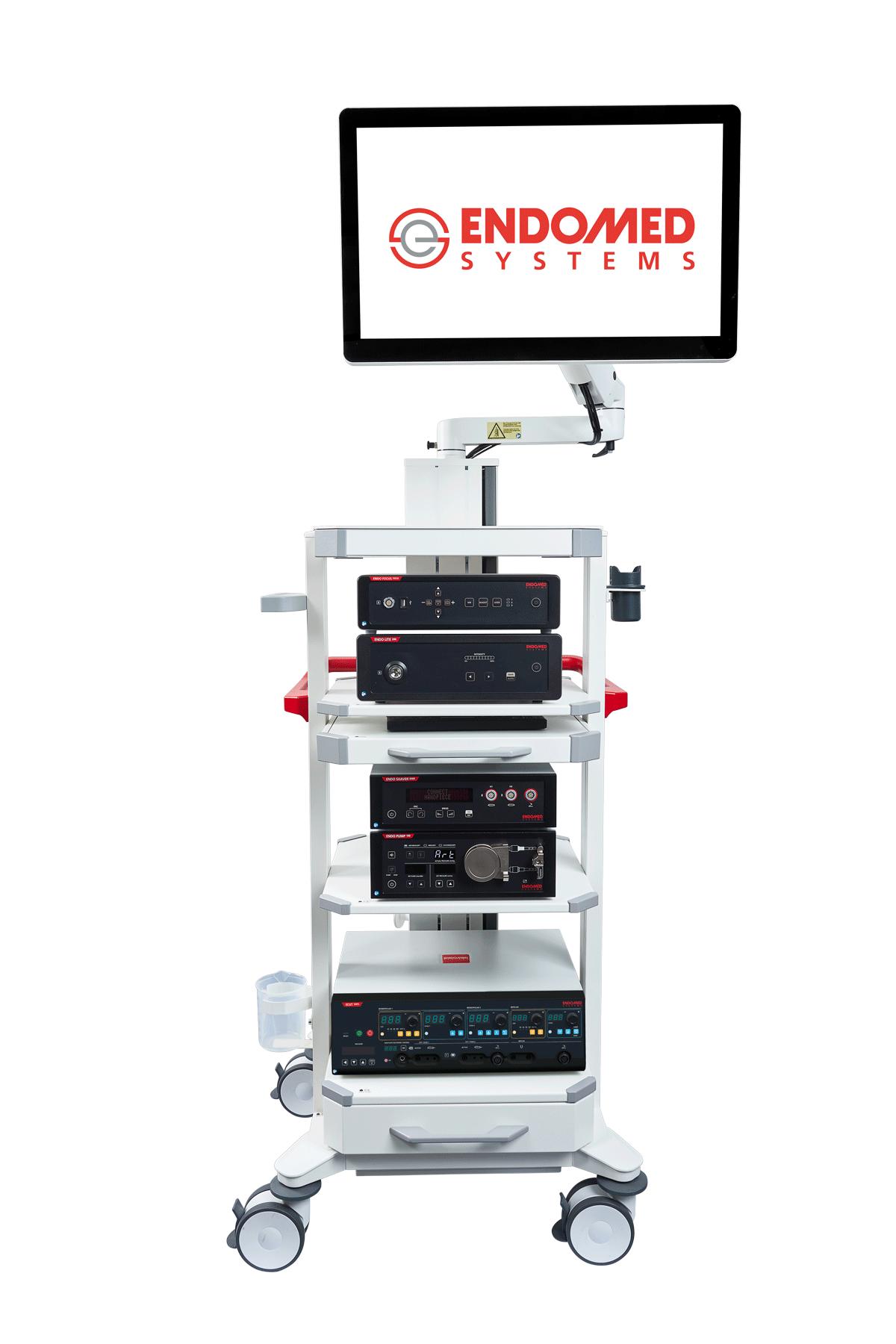 Endoscopy
