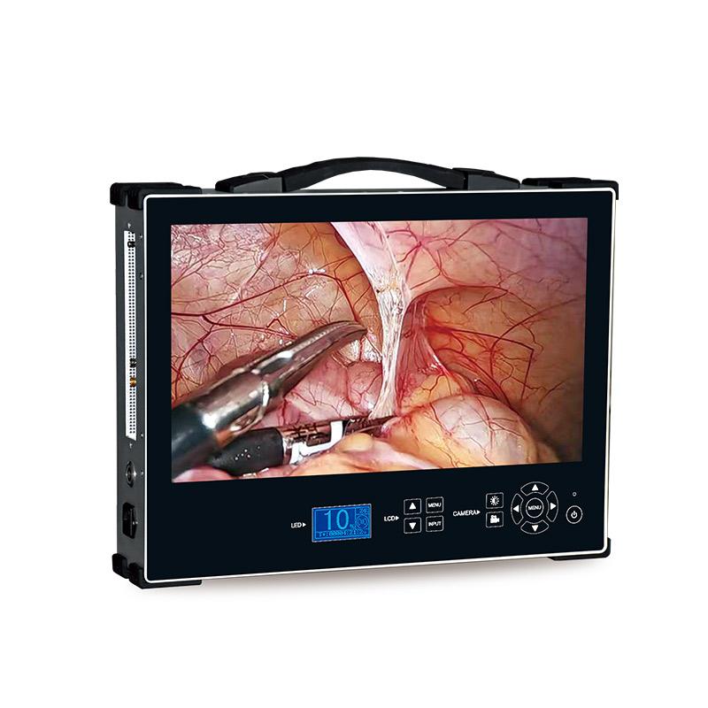 Portable Integrated Endoscope Camera Imaging System